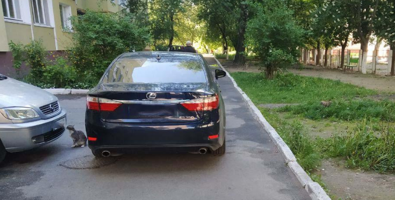 У Рівному водій  «Lexus» збив жінку, вона загинула